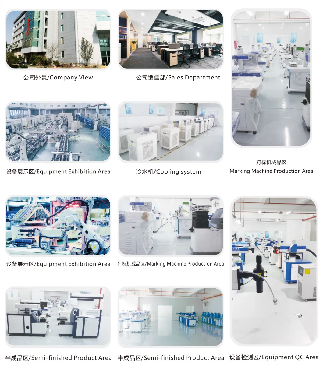 Sample Customization Visual Positioning Water-Cooled Scanning Pulse Laser Marking Machine